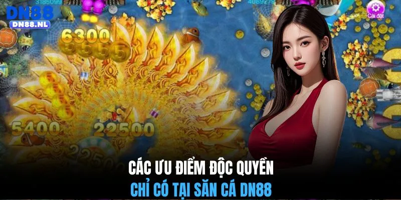 Các ưu điểm độc quyền chỉ có tại săn cá DN88